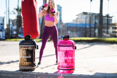 H2OCOACH One Gallon Set - TRANSPARENT w. BLACK & Pink -2 Quantity
